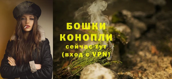не бодяженный Горно-Алтайск