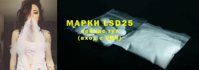 мяу мяу мука Кохма