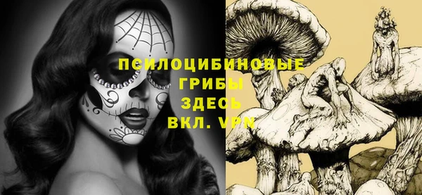 mdpv Горняк