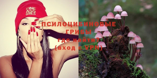 не бодяженный Горно-Алтайск