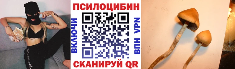где можно купить   Онега  Галлюциногенные грибы GOLDEN TEACHER 